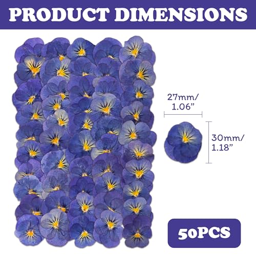 50 flores secas violetas prensadas para moldes de resina y manualidades miniatura 2