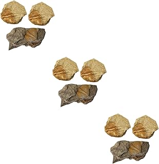 SOLUSTRE Calymene Trilobite 9 pcs Trilobite Fossil Decor Toy for Specimen Jewelry Classroom Teaching Fossils Trilobite Animal