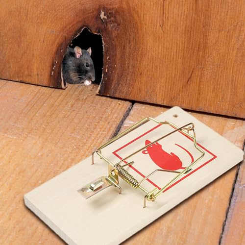 Trampa para ratones de madera 17 Imagen adicional