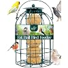Fat Ball Feeder
