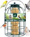 Pelle & Sol Bird Feeder - Suet and Fat Ball Feeder for Wild Birds - Compact Iron Design for Bird Feeders Hanging Station - Weather Resistant, Squirrel Proof, Easy Clean, Hang Anywhere Outdoor Feeders