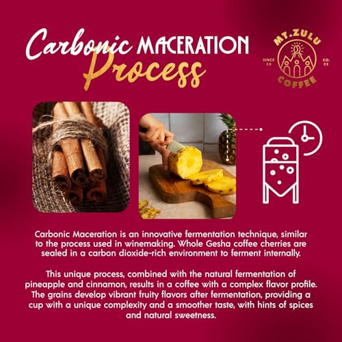 Mt. Zulu Gesha Carbonic Maceration