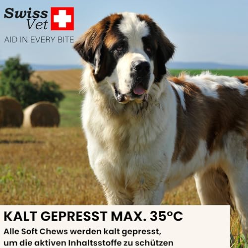 SwissVet Gelenktabletten für Hunde - 120 Kautabletten mit Grünlippmuschel, MSM, Glucosamin, Chondroitin & Collagen - Hochdosierte Gelenkunterstützung für Mobilität & Knorpel - Getreidefrei