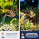 GIGALUMI Solar-Gießkannen-Lichter, Solarleuchten für den Außenbereich, wasserdicht, Metall, Solar-Gartenlaterne mit Halterung, Gartendekoration, Dekoration für Hof, Rasen, Weg