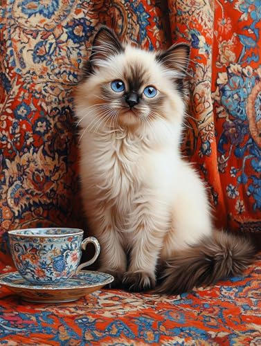 数字油絵 猫 ペイントバイナンバー カップ ナンバーペイント, DIY 絵 デジタル油絵 キット 初心者向け 簡単 Paint by Numbers ブラシとアクリル絵の具が入 手塗り DIY絵 オフィス インテリア リビング装飾, 女性へのギフト 20x