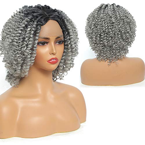 Sylhair Short Curly Wave Bob Wigs 10 inch Lace Front Wigs Afro Kinky Curly Wig for Women Dark Roots Light Sliver Curly Wig for Daily Use Heat Resistant Fiber (#R1B/T1B/56)