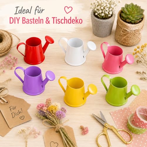 Petits arrosoirs en métal lot de 6 mini pots déco - 7