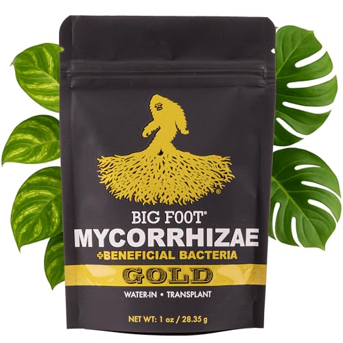 Big Foot Gold Mycorrhizal Fungi