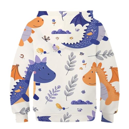 Sweat dinosaure pull mode ado excellente idée cadeau pour garçon et fille