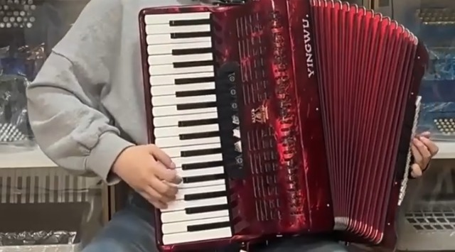 Amazon.com: Accordion 37 Keys 96 Bass, Professional Piano-Style