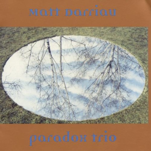 Matt Darriau's Paradox Trio [Audio CD] Darriau, Matt