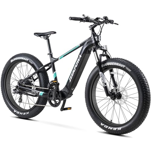 E Bike Herren Damen mit 250W Motor, E Mountainbike mit 48V 10,4Ah 500Wh...