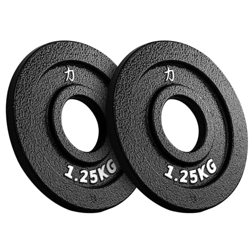 Strengthshop Riot Gusseisenscheiben - 1.25 kg - 5 kg, Paar - Cast Iron...