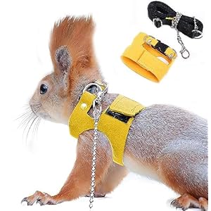 Squirrel Traction Rope Strap Anti-Biting Chain Rope, Adjustable Vest, Small Animal Walking Harness with Lead Leash, Hamster Gerbil Rat Mouse Ferret Chinchilla Small Animal Walking Leash