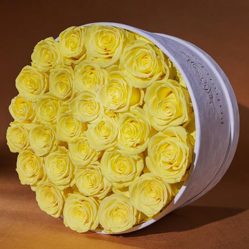 27 Roses in a Luxury Suede Box, Mother Day Flowers Gifts for Mom, Preserved Flowers for Her, Birthday Gifts for Women, Yellow
