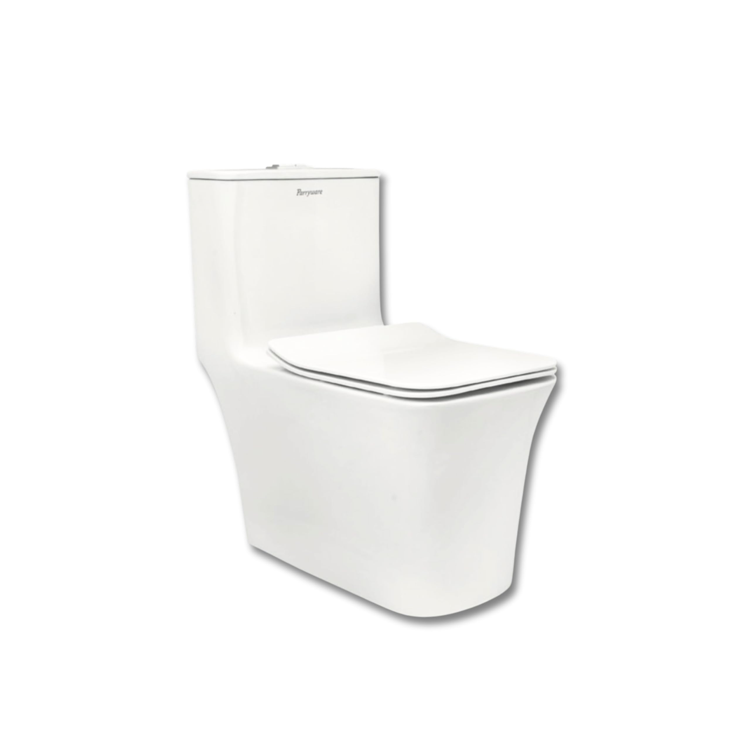 Parryware INSLIM Rimless Single Piece WC S-Trap 290 mm with UF