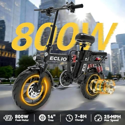 Folding Electric Bike 800W