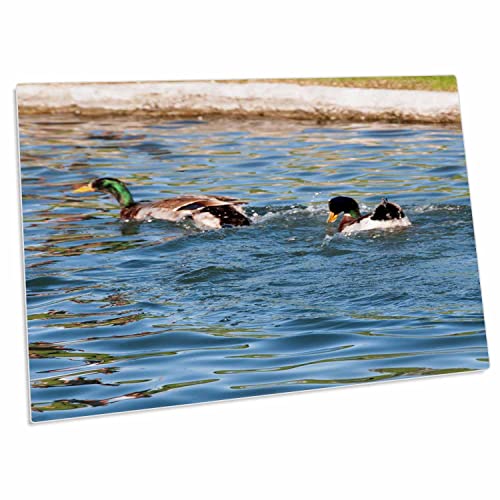 3dRose Desk Pad Ducks on a Pond 58x40 cm