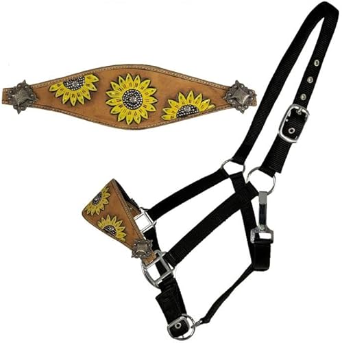 Showman Bronc Halter de cuero con diseño de girasol pintado a mano