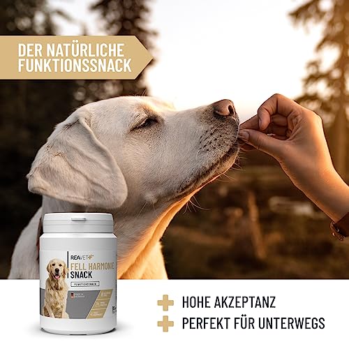 ReaVET Fellpflege Leckerlis Hund – Getreidefreier Hundesnack mit Lachsöl, Bierhefe & Kokosöl – Natürlicher Snack mit Omega-3-Fettsäuren, ideal für Fell & Hautpflege, Fellwechsel I 170 g (80 Stück)