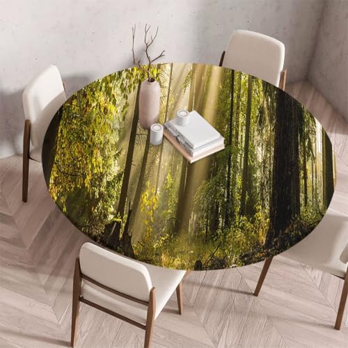 Fansu Mantel Redondo con Goma Elástica, Manteles de Mesa Ajustable Elásticos Bordes Lavable Antimanchas para Mesa de Catering Comedor Jardín Exterior (Estampado de Bosque,200cm)