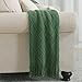 BOURINA Green Throw Blanket 50x60 Inches Throw Textured Solid Soft Sofa Couch Decorative Knit Blanket