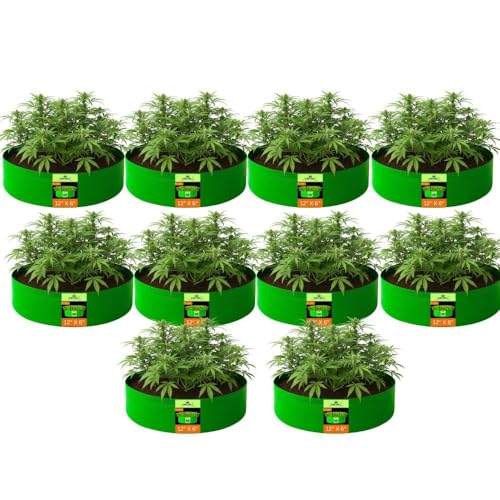 Image of Kingwell grow bags 12x6 inch pack of 10 Grow Bag For Terrace Garden Leafy Vegetable Plant Grow Bags Fruits Growing Containers For terrace Gardening