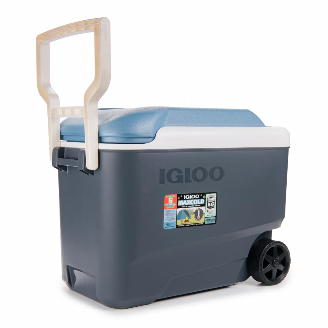 Amazon | igloo(イグルー) マックスコールド 40 ローラー (38L) #34484