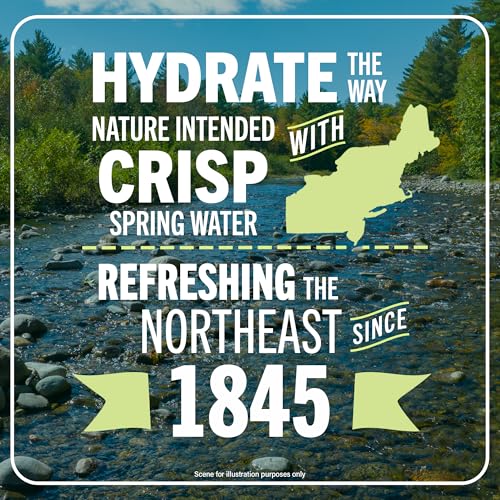 Image of Poland Spring Maine Spring Water Bottles, 12-Pack - Still Bottled Water with Naturally Occurring Minerals for Taste - 12 Fl Oz Bottles