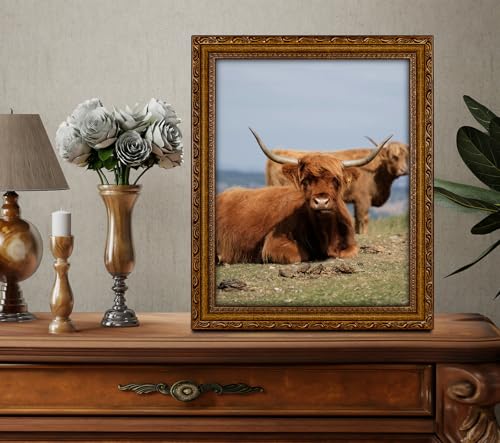 Image of 11x14 Picture Frame Wood Vintage 14x11 Picture Frame Gold | Real Glass, Matted 8x10 or 11 x 14 Photos, Easy Photo Changes, Wall Hanging