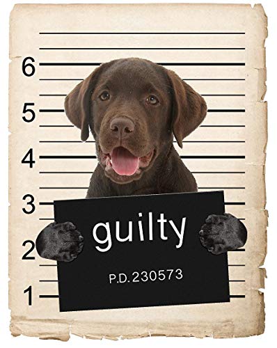 Imán decorativo perro Chocolate Lab 4x7 in