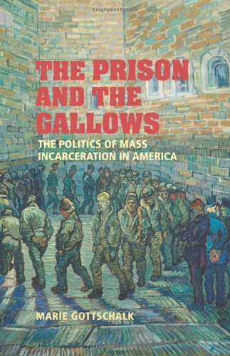 The Prison and the Gallows: The Politics of Mass Incarceration in America (Cambridge Studies in Criminology)