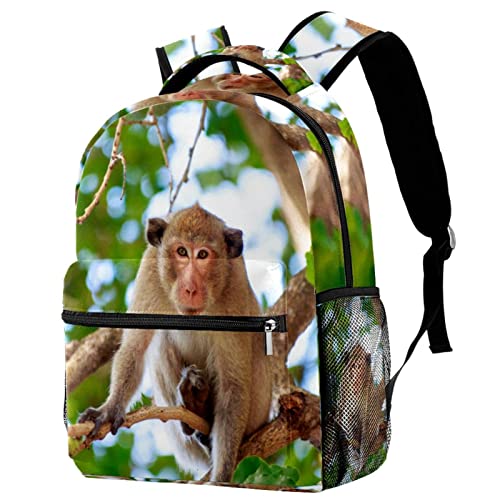 Sac à dos singe de la forêt léger pour soulager le dos des écoliers