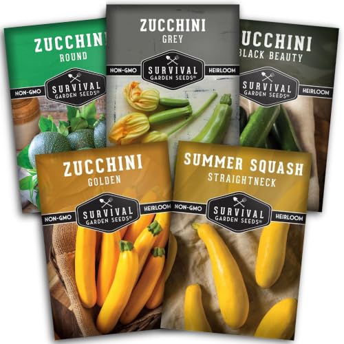 Zucchini & Summer Squash Seeds Collection for Planting