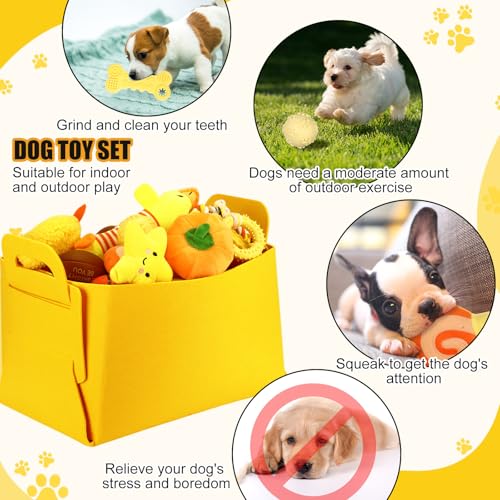 Abbylike 50-teiliges Welpenzubehör-Starter-Set für kleine Hunde, enthält Leine, Näpfe, Zahnbürsten, Wasserflasche und mehr Zubehör für Hunde, Willkommensgeschenk (gelb)