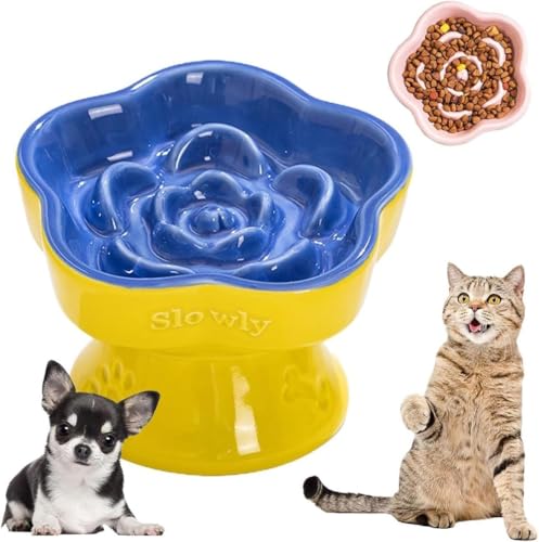 Marysea Hh~ H  X L  ͂Hh~H a h~f߂   aM @؂L H@Ή dqWΉ NǗ  ^/^ ()