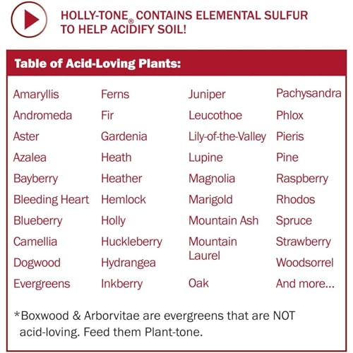 Espoma Organic Holly-Tone 4-3-4 Natural & Organic Evergreen & Azalea Plant Food; 4 lb. Bag; The Original & Best Fertilizer for All Acid Loving Plants Including Rhododendrons & Hydrangeas. Pack of 2 - Image 6