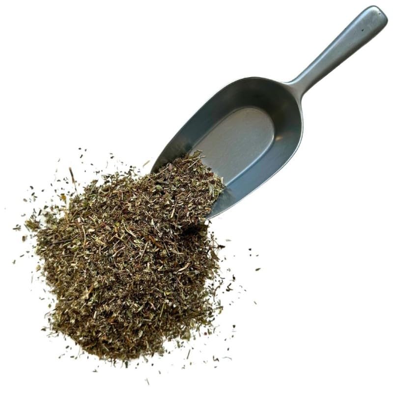 Kräutertee Piloselle Pflanze 1 KILO Hieracium pilosella.