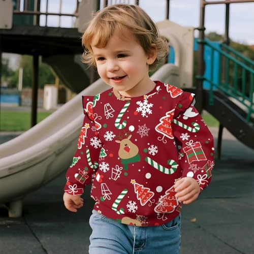 Sweatshirt for Toddler Baby Girls Casual Crewneck Pullover Long Sleeve Tops with Ruffle Trim Soft Shirts 1T-8T4