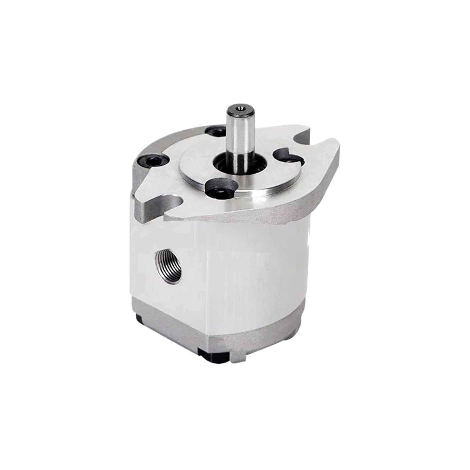Hydraulic Gear Pump High Pressure HGP-1A-F0.5RHGP-1A-F1RHGP-1A-F2RHGP-1A-F0.8RHGP-1A-F3R/4R/8R Oil(HGP-1A-F4R)