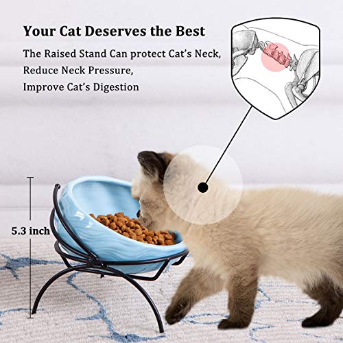Jemirry Ceramic Elevated Cat Bowl Anti Vomiting, 15° Tilted Food And Water Cat Bowl Set, Raised Pet Bowl With Non-Slip Stand For Cat And Dog, Protect Pet's Spine, Microwave Dishwasher Safe, Sky Blue #TOP1