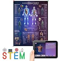 Algopix Similar Product 15 - Human Anatomy Chart with 4D Interactive