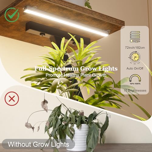 Image of Plant Stand Indoor with Grow Lights - Lighted Indoor Plant Shelf Tall, 61 inch 7 Tier Large Plant Stands for Indoor Growing, 2 Pack Corner Flower Shelves, Half-Moon Metal Holder for Home Living Room Black