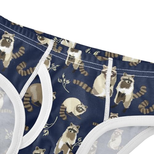 Boys' Exclusive Briefs Toddler Underwear 95% Combed Cotton Boxerbriefs 2T Raccoon Pattern 414