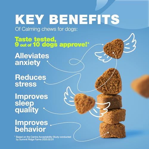 Hemp Calming Chews for Dogs - Dog Calming Treats - Anxiety Relief for Dogs with L-Theanine, Chamomile Extract, Valerian Root - Dog Anxiety Relief for Travel, Vet Visits, Thunderstorms, Nail Trimming
