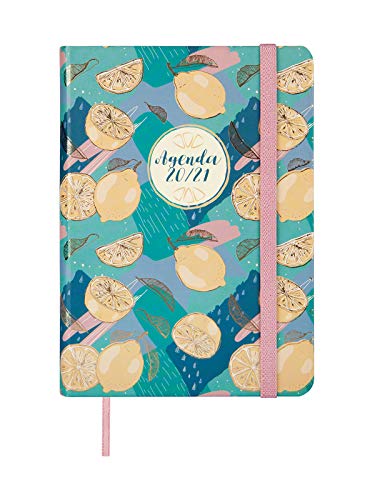 Télécharger Finocam – Agenda scolaire 2020-2021 M4 – 118 x 168 1 jour Page naturelle citron espagnol Francais PDF