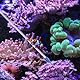 DECHOUS 60 cm Coral Feeder Pipette - Langes Futterwerkzeug Für Die Gezielte Korallenfütterung Im Aquarium - Ideal Für Meeresfische Und Riffkorallen Präzise Und Einfach in Der