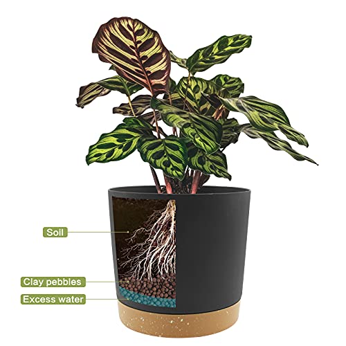 Qcqhdu Plant Pots Set Of 2 Pack 6.5 Inch,Planters For Indoor Plants With Drainage Holes And Removable Base,Saucer Modern Decorative For Outdoor Garden Planters(Dark Grey 6.5In) #TOP3