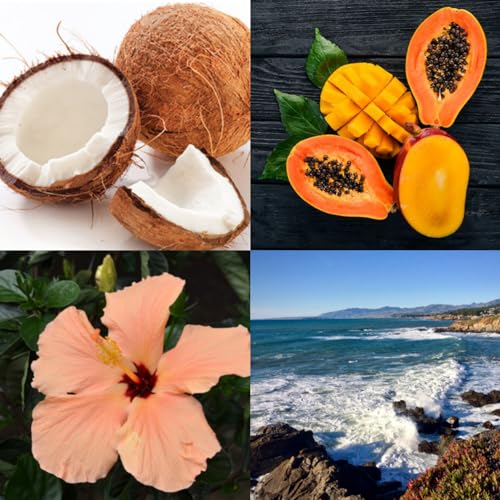 4 Variety of Beach Scented Fragrance Oil Sample Pack (1