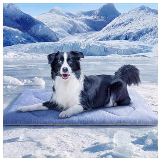 ASENKU Dog Cooling Mat, Portable & Durable Cooling Mat for Dogs, Summer Anti-Slip Breathable Cooling Bed for Medium-Large Dogs 35–60 lbs (Husky, Bulldog, Border Collie), 36x28 inches, Blue Diamond